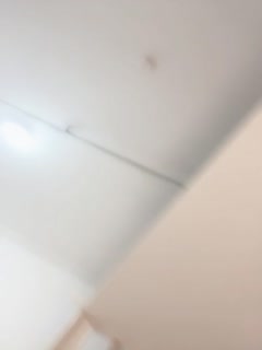 平民大英雄-91久久国产露脸精品国产护士-成人AV