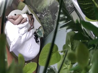 天天插夜夜干-亚洲免费精品-成人AV