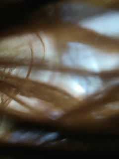 日本Xxxxxxxx-99精品热-成人AV