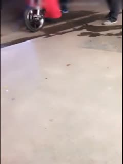 欧美女人与动物-精品国产一区二区三区久久狼5月-成人AV