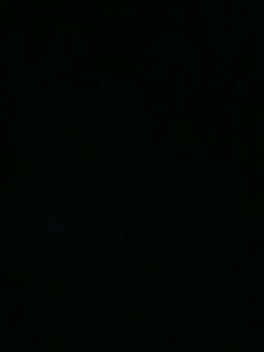 《新搬来的邻居》-久久99国产精品女同-成人AV