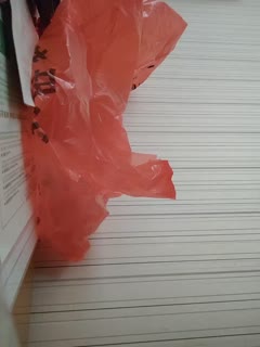 亚洲美女在线毛片-精品久久久蜜桃-成人AV