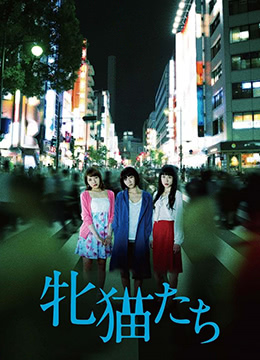 日韩论理-亚洲精品国产电影-成人AV