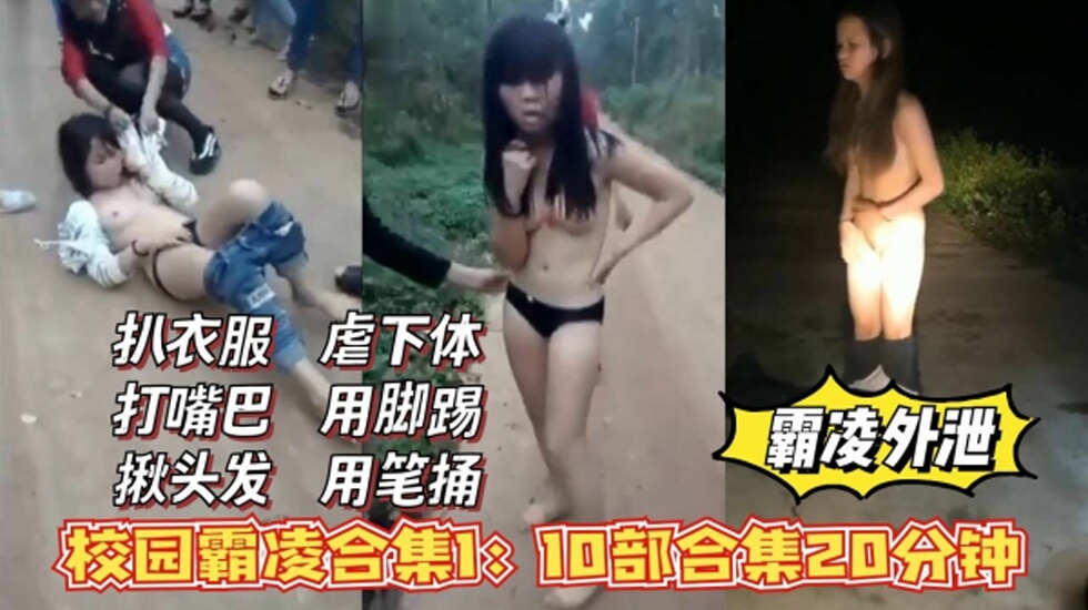 高清免费观看黄色片-三区视频-成人AV