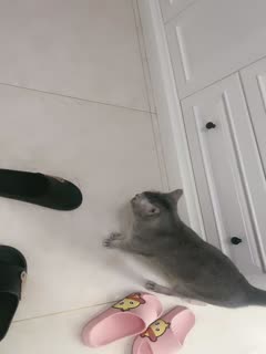 春丽里番acg☆里番本子全彩-成人亚洲精品久久久久软件-成人AV