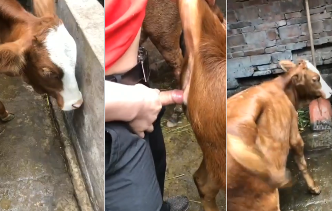 斗破苍穹漫画免费下拉-国产亚洲女人久久久久毛片-成人AV