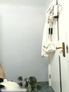 寂寞夜晚第三季免费观看-久久久tv-成人AV