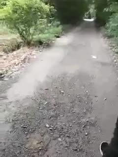 《法利赛人》在线观看-中文av影院-成人AV