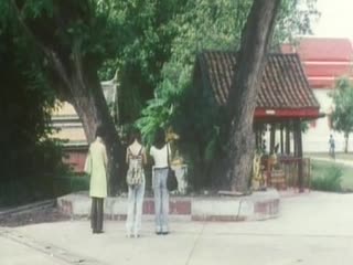 免耽漫画网怎么了-黄色伊人网-成人AV