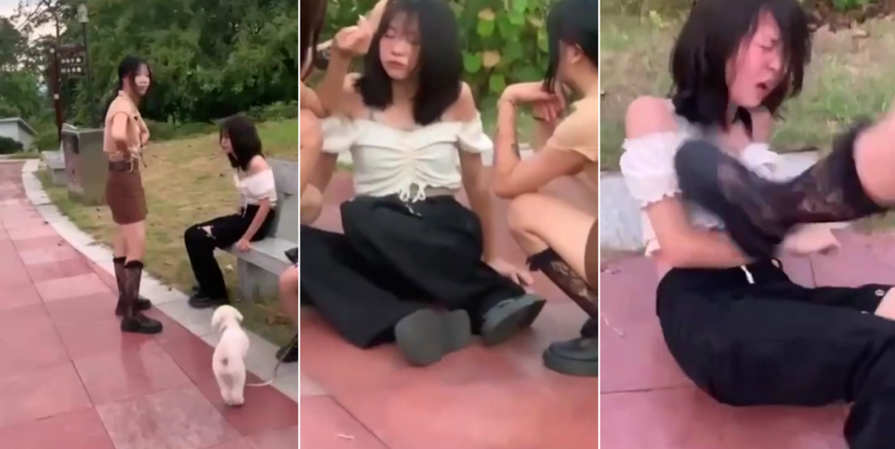 3dhd free xxxx movies三d-国产精品福利视频推女郎-成人AV