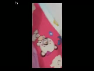 竹夫人免费观看-99热在线观看精品-成人AV