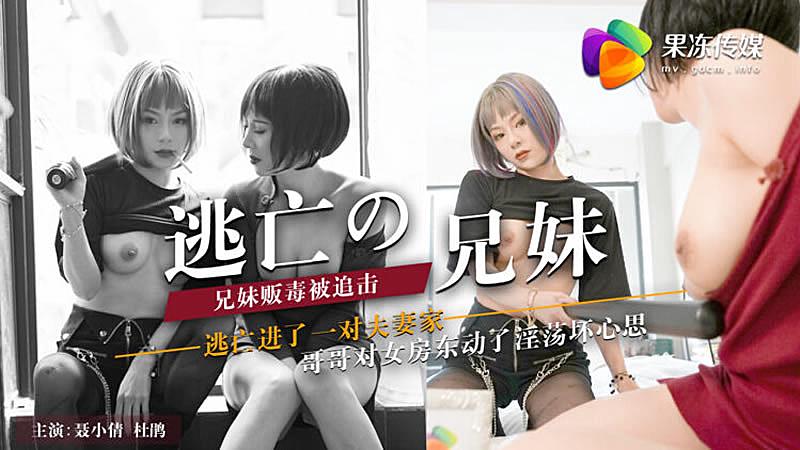 激情久久久久-91短视频网站-成人AV