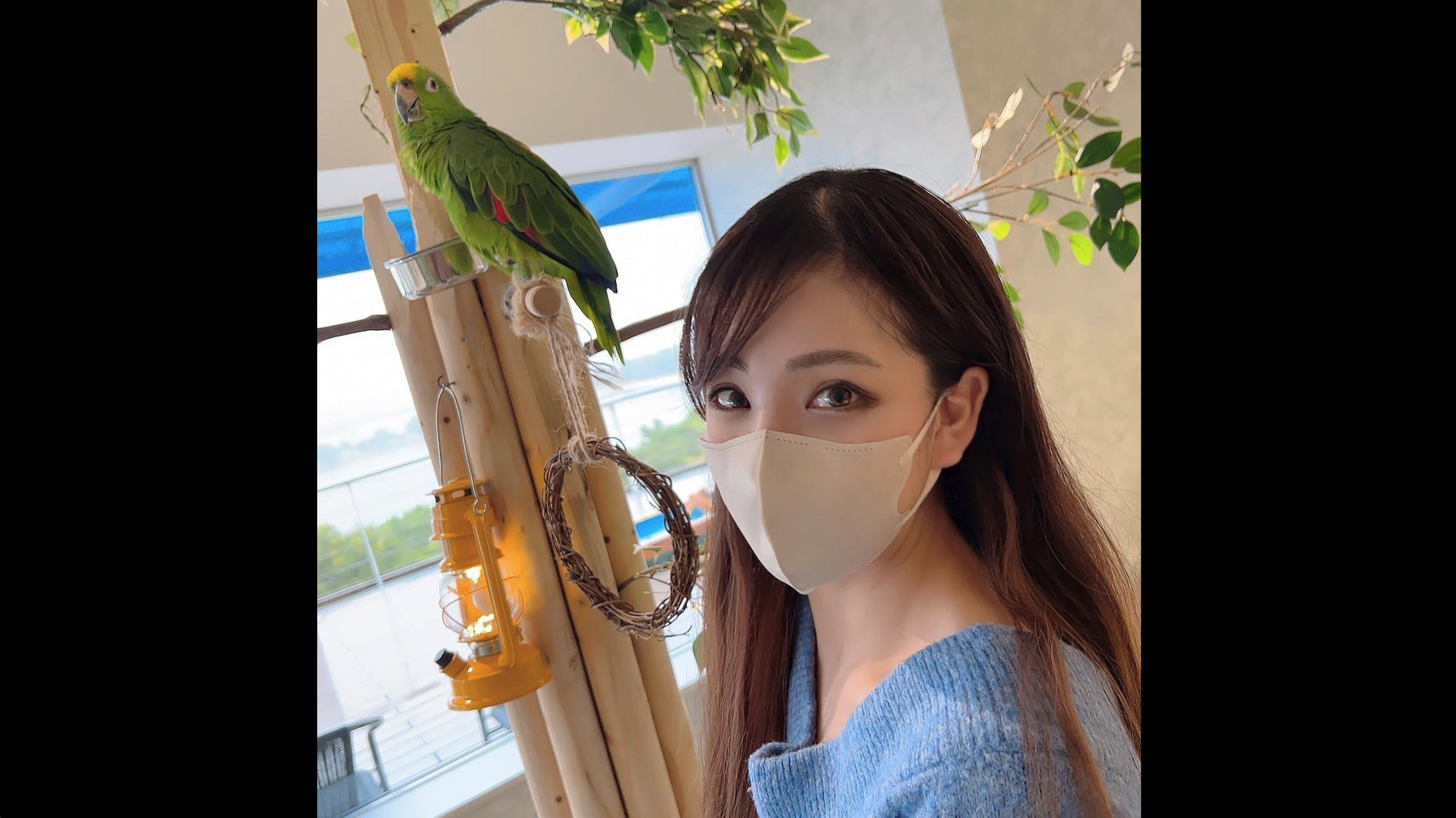 男女裸体做爰全视频-91视频你懂得-成人AV