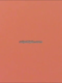 97影院不用-91精品视频免费看-成人AV