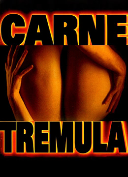 正宗一级黄色毛毛带片-91精品一二三区-成人AV