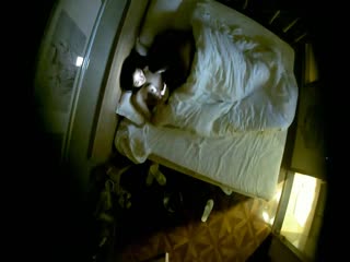 荡女淫春台湾免费观看-亚洲人成高清-成人AV