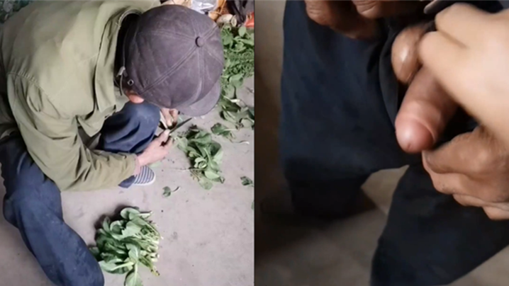 小说丈母娘的秘密-久久99网-成人AV