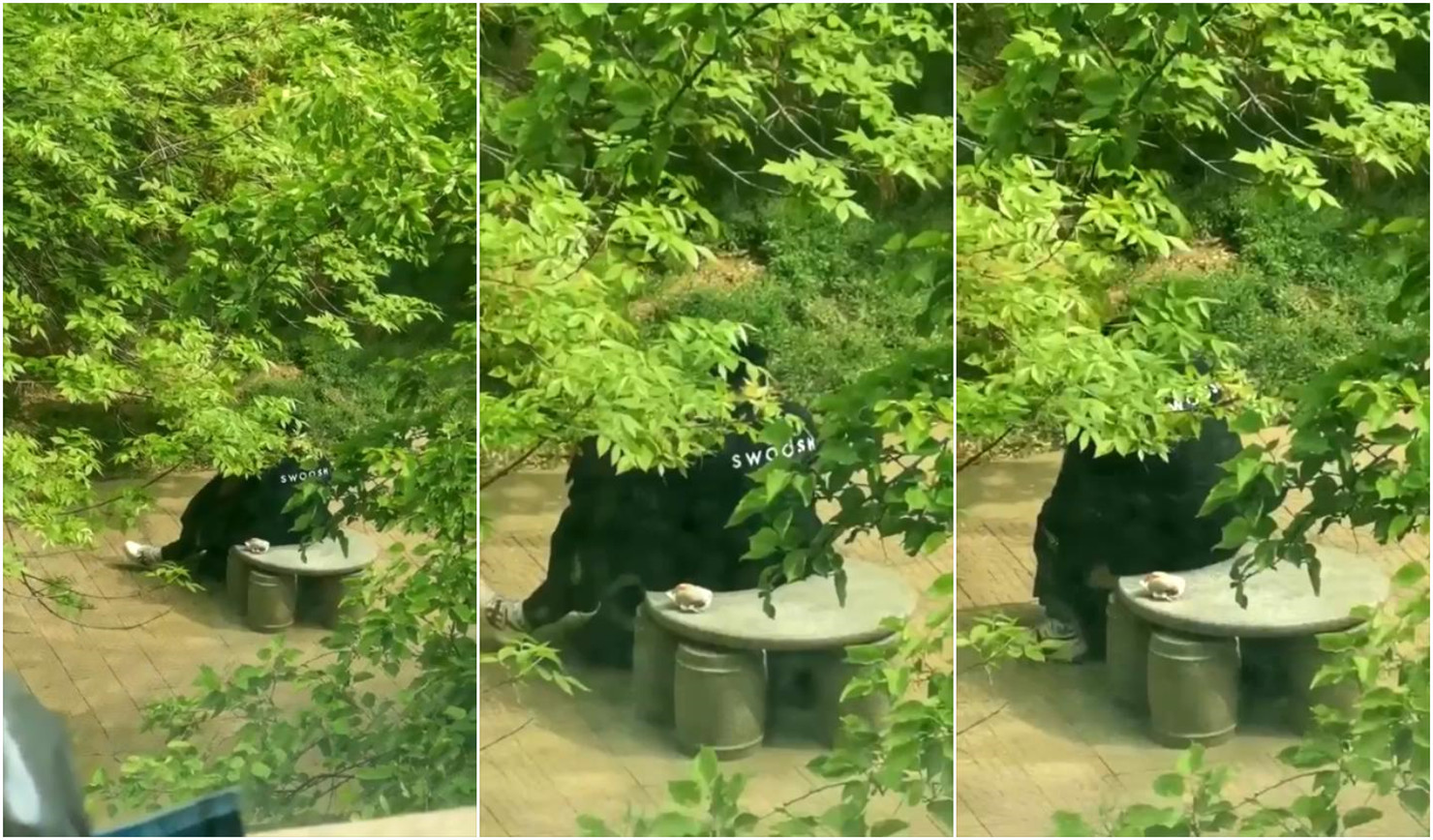 sis001board最新地址-国产青青久久-成人AV