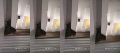 ja∨名优馆-成人av午夜-成人AV