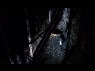 武松在线观看-国产亚洲成人网-成人AV