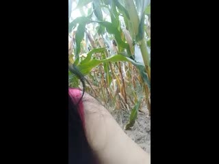 天天夜天天干-日韩a欧美-成人AV