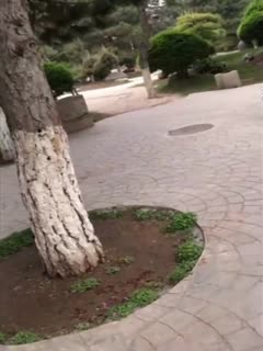 韩国善良的妻子-色av一区二区-成人AV