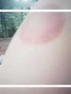 一级红色片-国产欧美一区二区三区不卡高清-成人AV