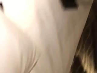 午夜美女福利-国产成人av在线-成人AV