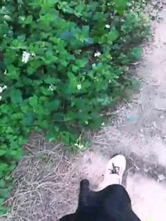 高潮h揉灌np-www.99热视频-成人AV