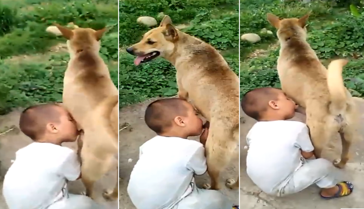 香港三级女教师-精品国产乱码久久久久久88av-成人AV