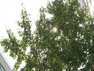 被去玩的苍月奥特曼-91毛片网-成人AV