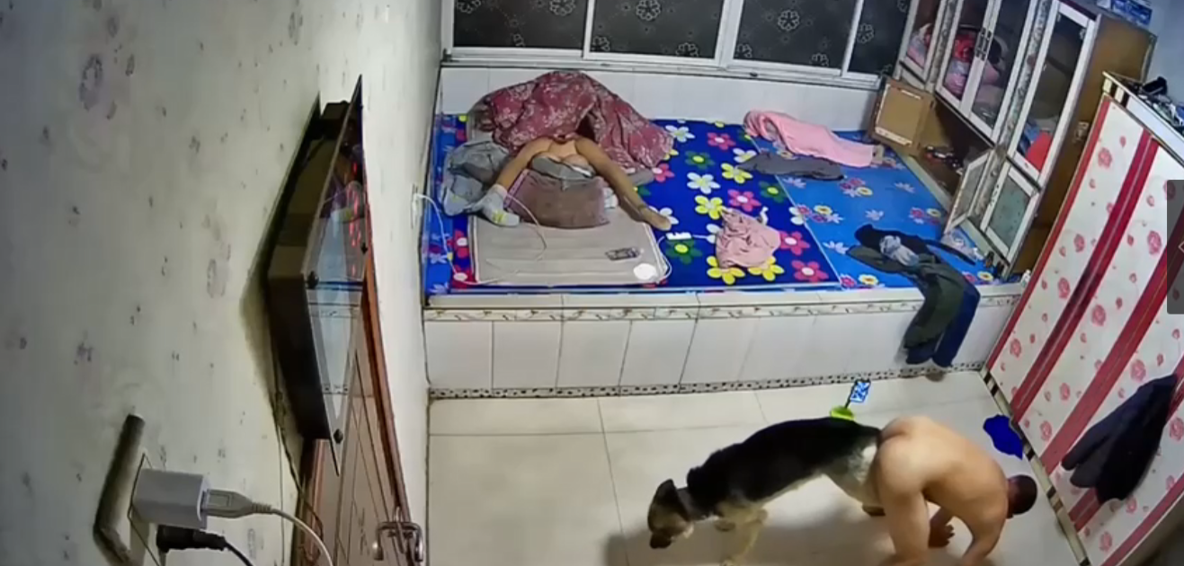 房奴试爱未删减版-午夜精品久久久久久99热-成人AV