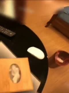 河北彩花无删减版在线播放-久精品久久-成人AV