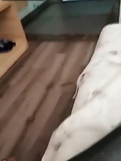 日本少妇自慰120秒-在线观看av毛片-成人AV