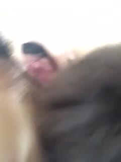 一级猎罪电影简介在线观看免费-久久福利电影-成人AV