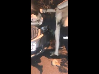 苹果手机售后维修服务点地址查询-青青草草-成人AV