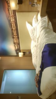 黄色r逼视频免费看-99国产小视频-成人AV