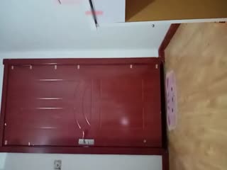 731三极片-日韩久久久久-成人AV