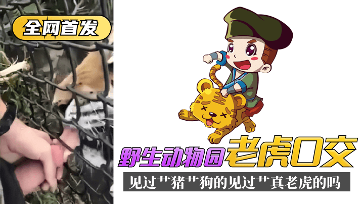 玖玖性爱簧片-久久99网-成人AV