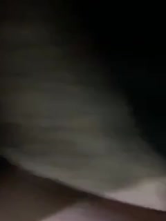 中通速递单查询-天天躁日日躁狠狠躁2021a1-成人AV