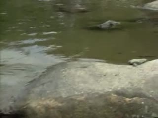 超大巨吊黑人AV-国产高清av在线播放-成人AV