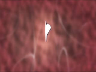 亚洲性欲www-欧美黄色专区-成人AV