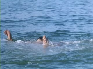 朝雪录电视剧在线观看免费高清-国产91精品一区二区-成人AV