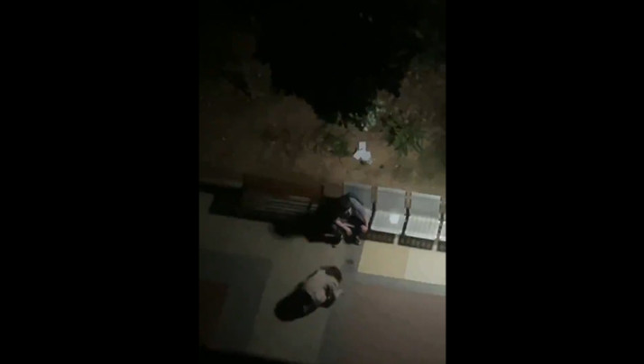 道士下山 电影-99毛片-成人AV