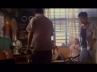 鸡毛飞上天电视剧免费观看-久久综合久久精品-成人AV