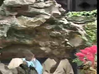 触手异种产卵受孕h文-99精品国产免费久久久久久下载-成人AV