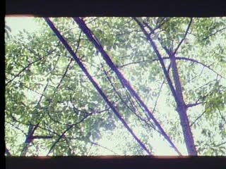 chineses麻豆-日韩精品久久久久久久白丝-成人AV