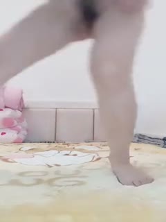 三级影片app-www.68a精品91久久-成人AV