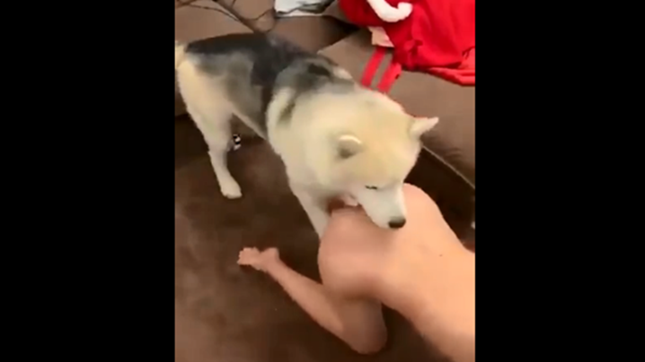 许中义电视剧全集免费观看-久久精品一区二区国产-成人AV