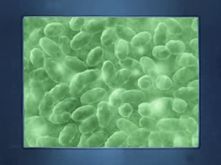 射射屋-久久久久久久国产a∨-成人AV